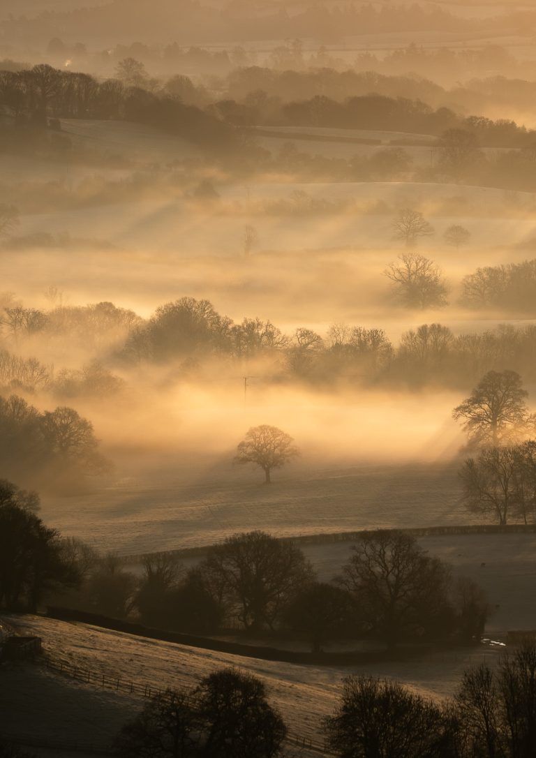 Misty rays of light in Somerset