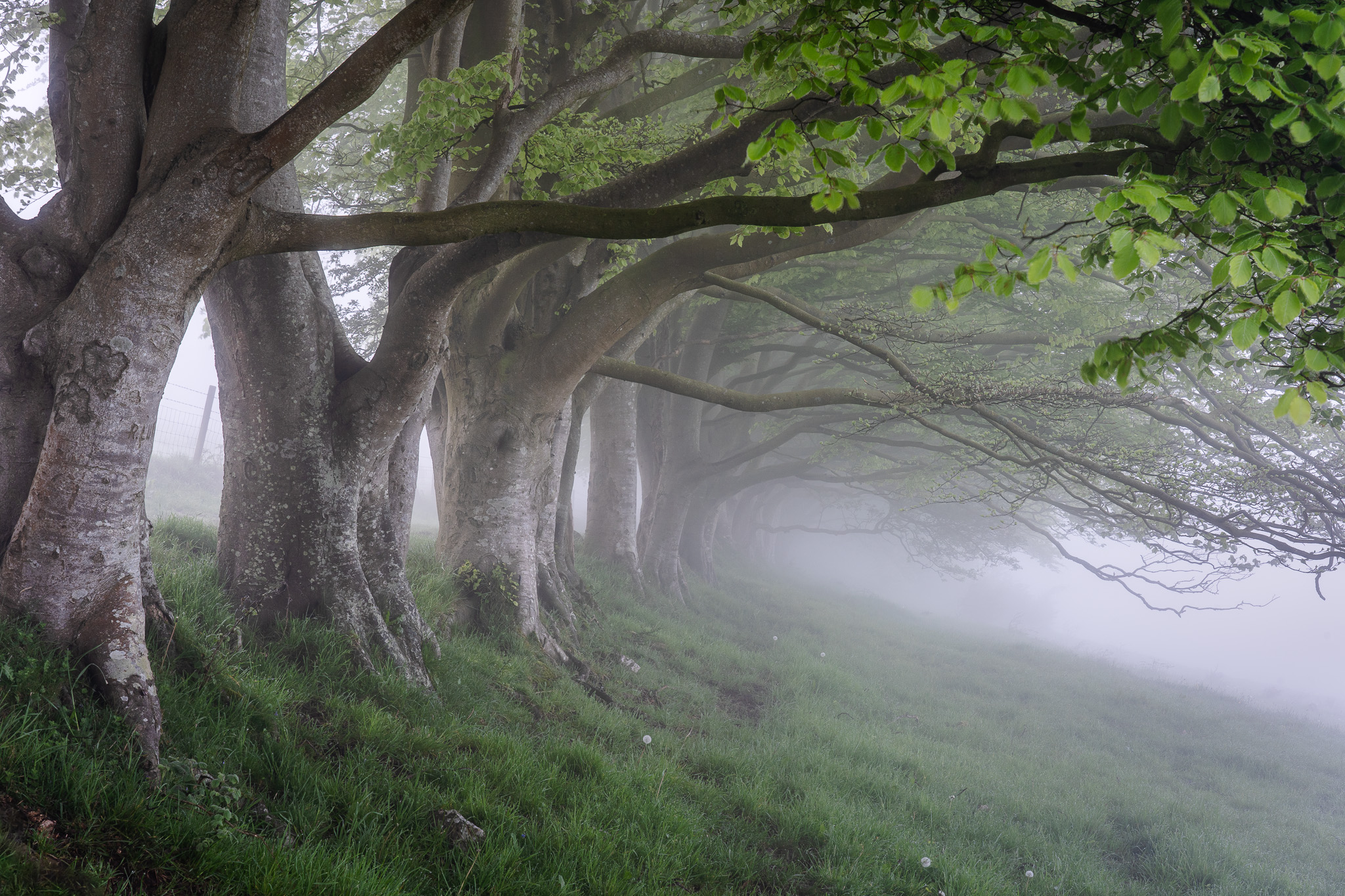 A foggy Draycott Sleights