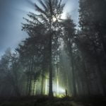 Misty rays of light at night in the Mendips, Somerset - looking like a scene from a sci-fi film