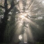 Incredible misty rays of light in the Chew Valley, Somerset