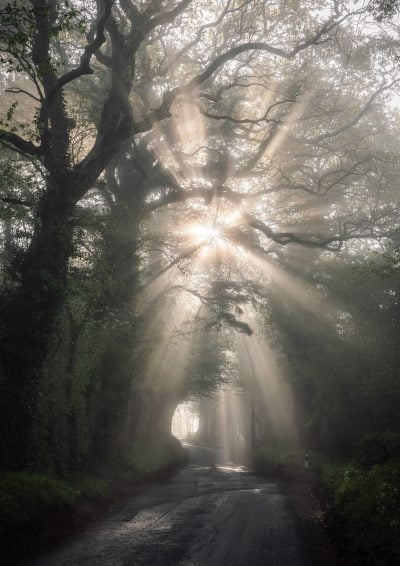 Incredible misty rays of light in the Chew Valley, Somerset