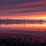 A fiery Winter sky over a flooded Somerset Levels