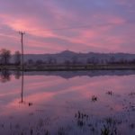 The reflection of Glastonbury Tor on a flooded Somerset Levels