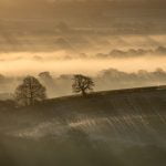 Misty rays of light in Somerset - fine art photo print