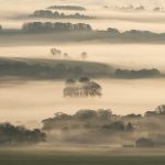 Misty Cranborne Chase, Wiltshire fine art photo print