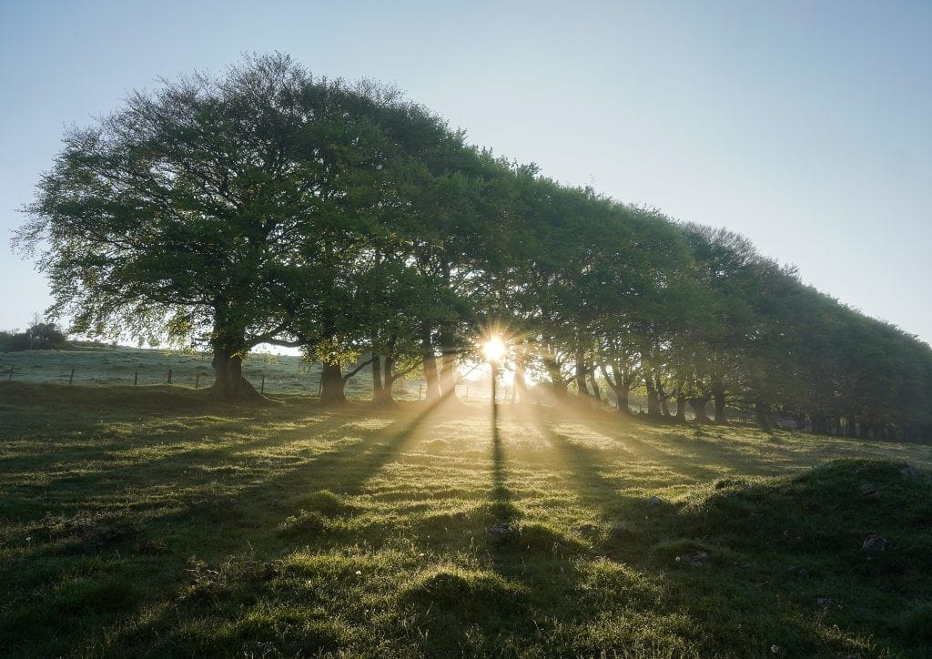 Draycott Sleights misty light rays