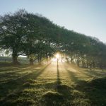 Draycott Sleights misty light rays