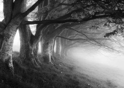Draycott Sleights in the fog - black and white fine art print