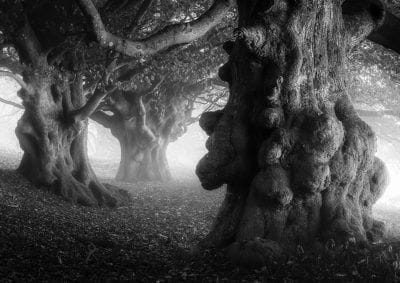 Double, double toil and trouble - black and white Martinsell Hill fine art print