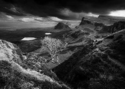 The Quiraing lone tree - black and white Isle of Skye fine art print